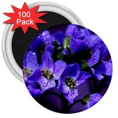 Cuckoo Flower 3  Button Magnet (100 Pack) by Siebenhuehner