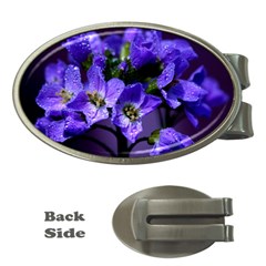 Cuckoo Flower Money Clip (oval) by Siebenhuehner