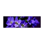 Cuckoo Flower Bumper Sticker Front