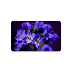 Cuckoo Flower Magnet (name Card) by Siebenhuehner