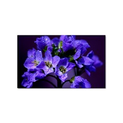 Cuckoo Flower Sticker 100 Pack (rectangle) by Siebenhuehner