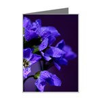 Cuckoo Flower Mini Greeting Card Left