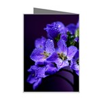 Cuckoo Flower Mini Greeting Card Right