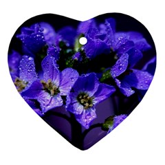 Cuckoo Flower Heart Ornament (two Sides) by Siebenhuehner