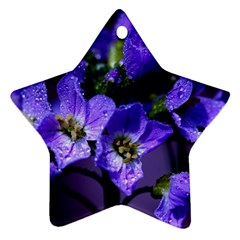 Cuckoo Flower Star Ornament (two Sides) by Siebenhuehner