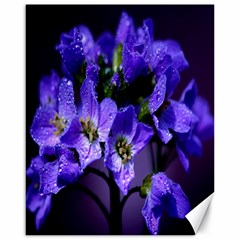 Cuckoo Flower Canvas 16  X 20  (unframed) by Siebenhuehner