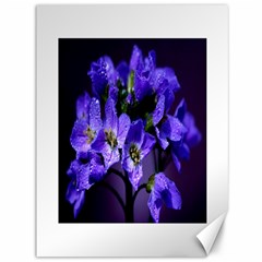 Cuckoo Flower Canvas 36  X 48  (unframed) by Siebenhuehner