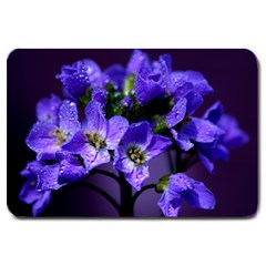 Cuckoo Flower Large Door Mat by Siebenhuehner