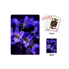 Cuckoo Flower Playing Cards (mini)