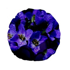 Cuckoo Flower 15  Premium Round Cushion  by Siebenhuehner