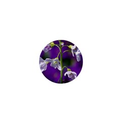 Cuckoo Flower 1  Mini Button Magnet by Siebenhuehner