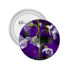 Cuckoo Flower 2 25  Button by Siebenhuehner