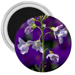 Cuckoo Flower 3  Button Magnet by Siebenhuehner