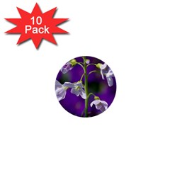 Cuckoo Flower 1  Mini Button (10 Pack) by Siebenhuehner