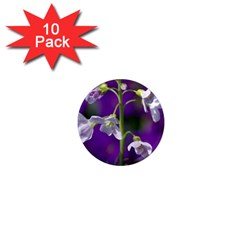 Cuckoo Flower 1  Mini Button Magnet (10 Pack) by Siebenhuehner