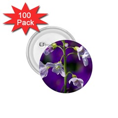 Cuckoo Flower 1 75  Button (100 Pack) by Siebenhuehner