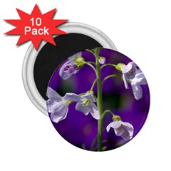 Cuckoo Flower 2 25  Button Magnet (10 Pack) by Siebenhuehner