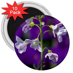 Cuckoo Flower 3  Button Magnet (10 Pack) by Siebenhuehner