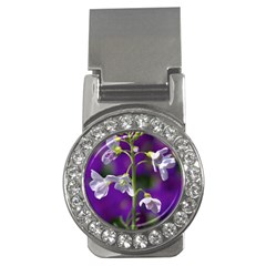 Cuckoo Flower Money Clip (cz) by Siebenhuehner