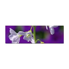 Cuckoo Flower Bumper Sticker by Siebenhuehner