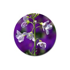 Cuckoo Flower Magnet 3  (round) by Siebenhuehner