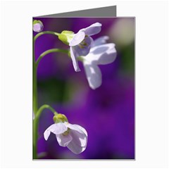 Cuckoo Flower Greeting Card