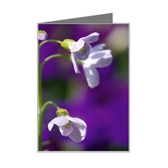 Cuckoo Flower Mini Greeting Card