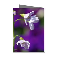 Cuckoo Flower Mini Greeting Card (8 Pack) by Siebenhuehner