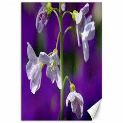 Cuckoo Flower Canvas 12  X 18  (unframed) by Siebenhuehner