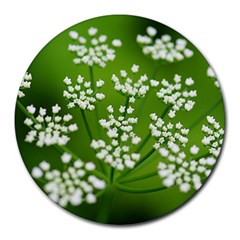 Queen Anne s Lace 8  Mouse Pad (round) by Siebenhuehner