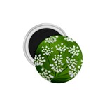 Queen Anne s Lace 1.75  Button Magnet Front