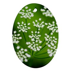 Queen Anne s Lace Oval Ornament by Siebenhuehner