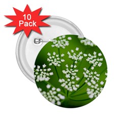 Queen Anne s Lace 2 25  Button (10 Pack) by Siebenhuehner