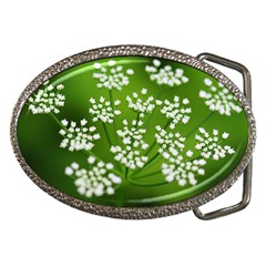 Queen Anne s Lace Belt Buckle (oval) by Siebenhuehner