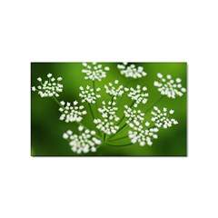 Queen Anne s Lace Sticker (rectangle) by Siebenhuehner