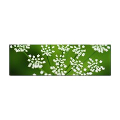 Queen Anne s Lace Bumper Sticker by Siebenhuehner