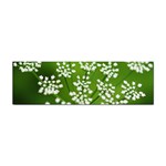 Queen Anne s Lace Bumper Sticker Front