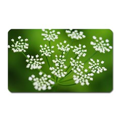 Queen Anne s Lace Magnet (rectangular) by Siebenhuehner