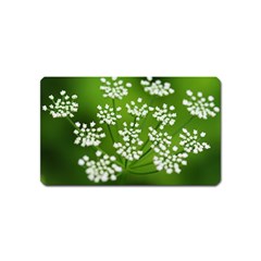 Queen Anne s Lace Magnet (name Card) by Siebenhuehner