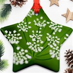 Queen Anne s Lace Star Ornament (Two Sides) Front