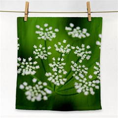 Queen Anne s Lace Face Towel by Siebenhuehner