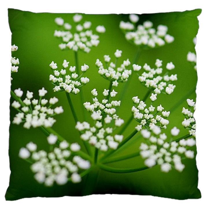 Queen Anne s Lace Large Cushion Case (Single Sided) 