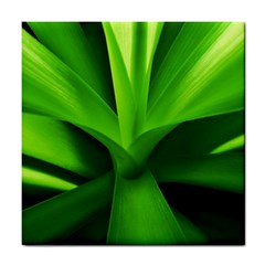 Yucca Palm  Ceramic Tile by Siebenhuehner