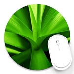 Yucca Palm  8  Mouse Pad (Round) Front