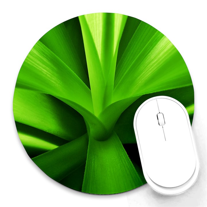 Yucca Palm  8  Mouse Pad (Round)