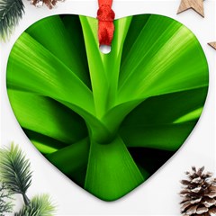 Yucca Palm  Heart Ornament