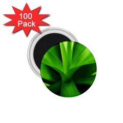 Yucca Palm  1 75  Button Magnet (100 Pack) by Siebenhuehner