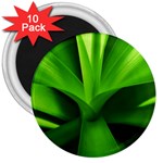 Yucca Palm  3  Button Magnet (10 pack) Front