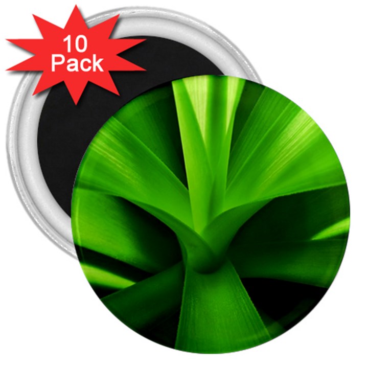 Yucca Palm  3  Button Magnet (10 pack)