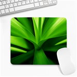 Yucca Palm  Large Mouse Pad (Rectangle) Front